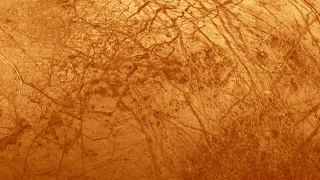 Illustration for article titled Microscope Image Or Alien Planet -- Can You Tell The Difference?